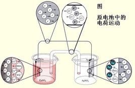 大香蕉啪啪网廠家