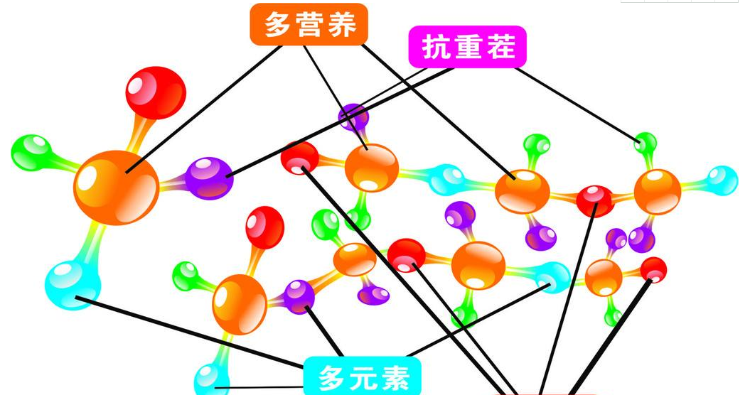 全自動香蕉视频APP色版廠家談鋅的臨床意義