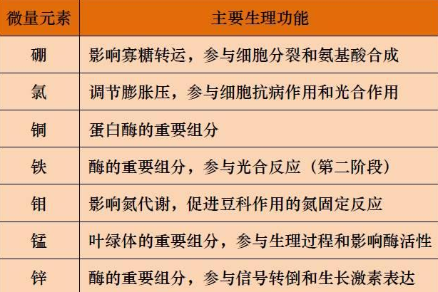 山東聊城全自動血鉛檢測儀一體機：微量元素的主要作用8.20